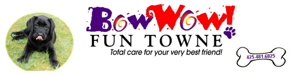 Bow Wow Fun Towne
